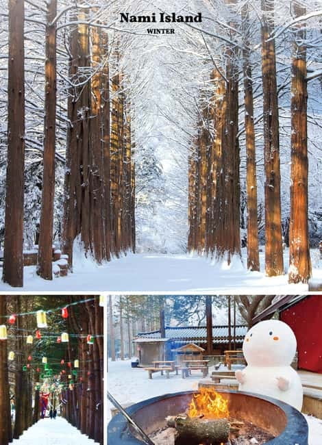 Eobi Ice Valley & Nami & Railbike & Petite & Morning Calm - A Winter Day That Hits Five Different Moods