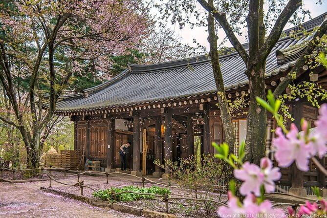 Eobi+Nami+Hanbok Tour with Rail Bike or Strawberry Option - Key highlights to know before you go