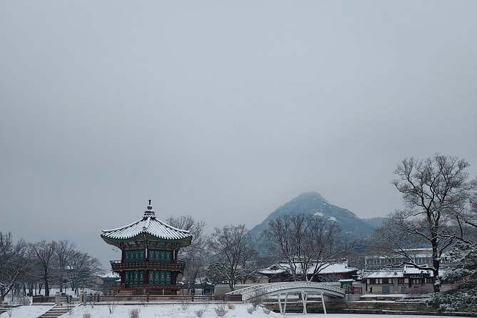 Essence of Seoul, 100% Private Full Day City Tour - N Seoul Tower for Views, Then Namdaemun Market for the Real Grit
