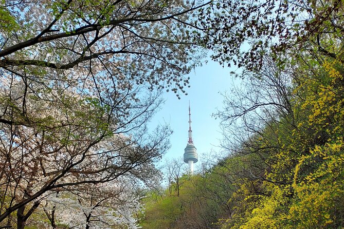 Essence of Seoul, 100% Private Full Day City Tour - What to Expect on the Day: Timing, Comfort, and Flexibility