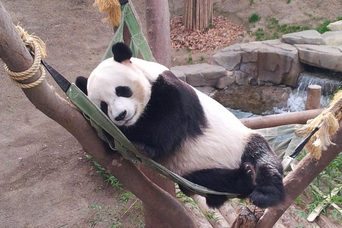EVERLAND "From Hotel to Hotel" [Premium Private Tour: Only One Group for You] - Price and What You Actually Get for $188 Per Person