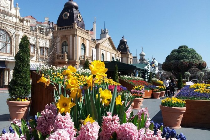 EVERLAND "From Hotel to Hotel" [Premium Private Tour: Only One Group for You] - Planning an 8-Hour Everland Day Without Feeling Rushed