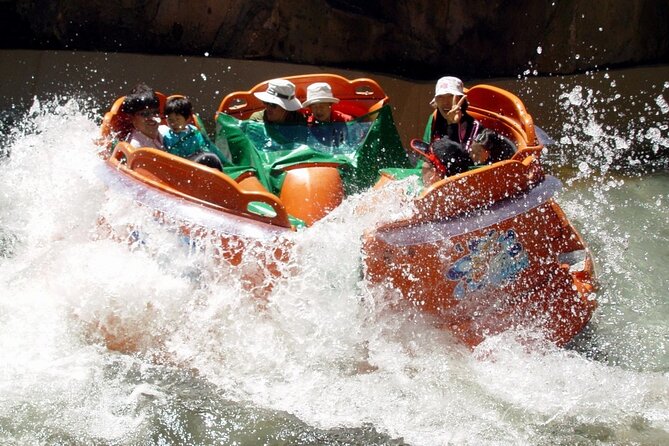 Everland Theme Park Admission Ticket with Transfer from Seoul - Should You Book This Everland Ticket With Seoul Transfer?