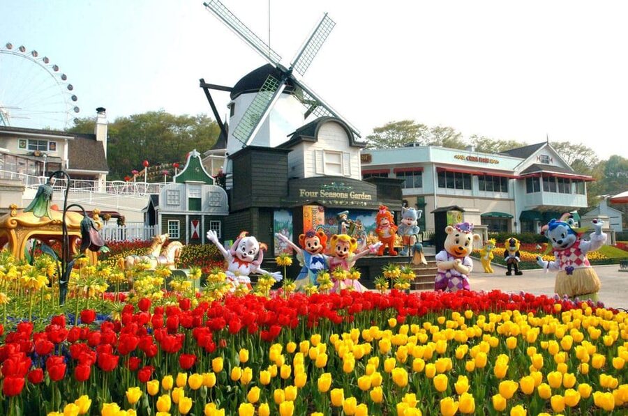 Everland Tour with Shuttle:Fast Panda World Entry(Ends 8/31) - Why this Everland tour feels practical from Seoul