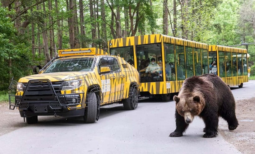 Everland Tour with Shuttle:Fast Panda World Entry(Ends 8/31) - Panda World priority entry for Rui Bao and Hui Bao until 8/31