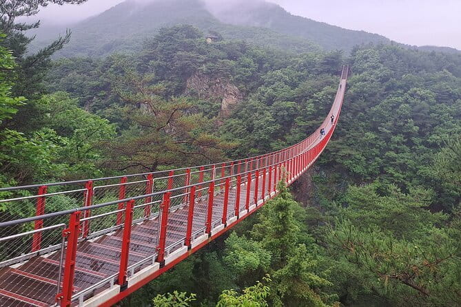 Explore DMZ from Seoul +(optional) Gondola/Red Suspension Bridge - Key things to know before you go