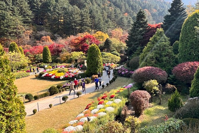 Four Seasons of Nami Island with Garden of Morning Calm Tour - Dak Galbi lunch: what you eat and why it’s a smart mid-tour fuel