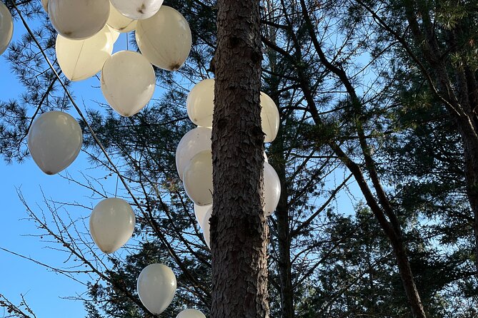 Four Seasons of Nami Island with Garden of Morning Calm Tour - Garden of Morning Calm: the oldest private garden, plus its film connections