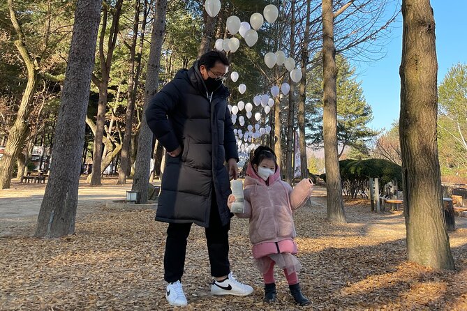 Four Seasons of Nami Island with Garden of Morning Calm Tour - Who this tour is best for (and who should think twice)