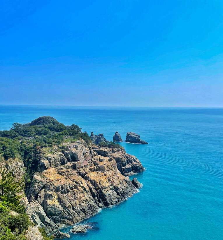 From Busan: Enchanting Oedo Island Day Tour with Windy Hill - Key highlights you will feel right away