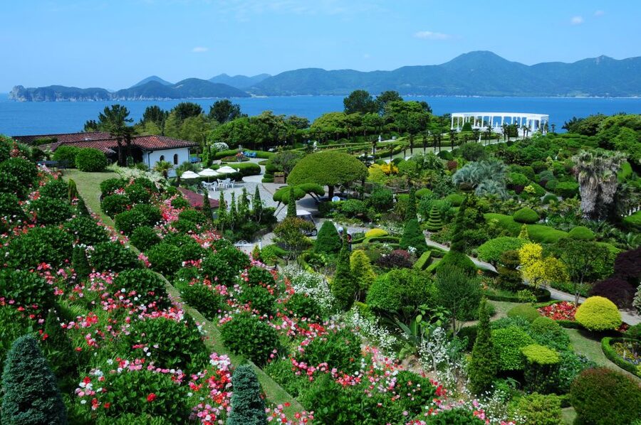 From Busan: Enchanting Oedo Island Day Tour with Windy Hill - Price check: is $91 a smart deal here