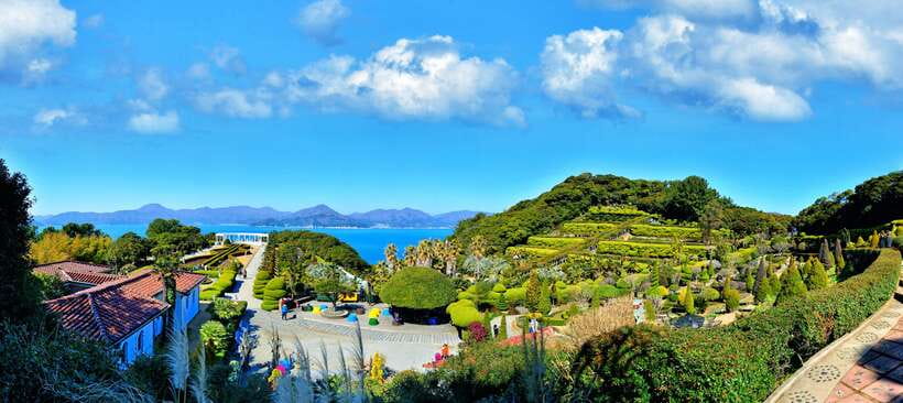From Busan: Enchanting Oedo Island Day Tour with Windy Hill - Why this Oedo, Windy Hill, and Geoje cable car day works