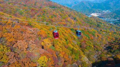 Enchanting Oedo Island Day Tour with Windy Hill