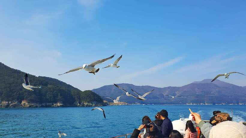 From Busan: Enchanting Oedo Island Day Tour with Windy Hill - Ferry crossing to Oedo Island: scenery plus schedule reality