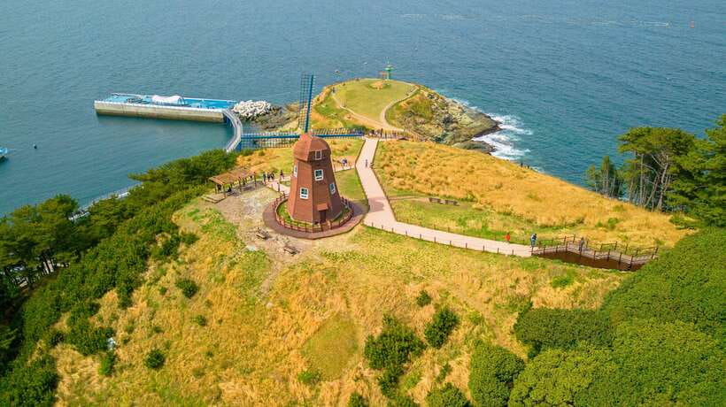 From Busan: Enchanting Oedo Island Day Tour with Windy Hill - Lunch at your expense: don’t get surprised by the food stop