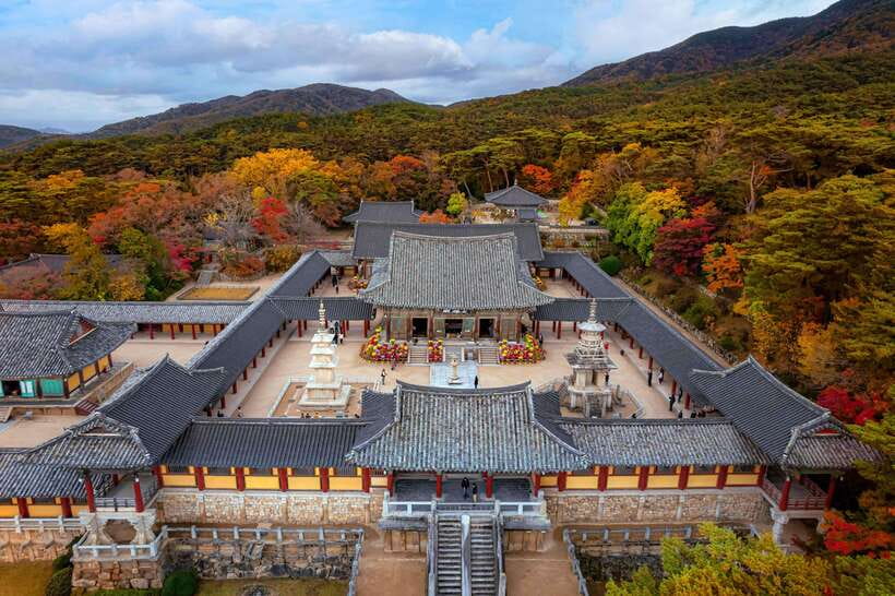 From Busan: Gyeongju Full-Day Historical Tour - Key highlights at a glance