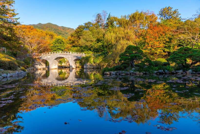 From Busan: Gyeongju Historical Day Tour with Sky Capsule - Guide Style, Group Pace, and What Reviews Suggest
