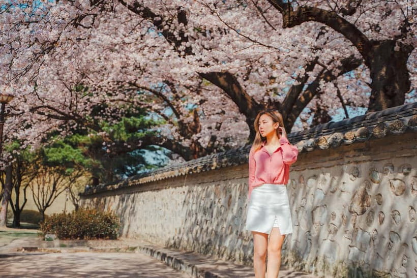 From Busan: Gyeongju Small Group Photo Tour & Hotel Pick-up - Gyeongju Gyochon Traditional Village: A Step Into the Familiar Past