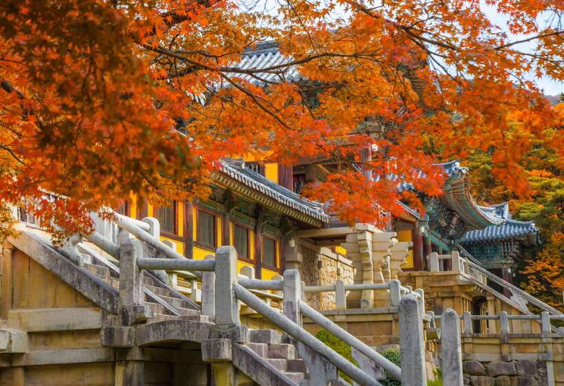 From Busan: Gyeongju UNESCO World Heritage Guided Day Tour - Key highlights you’ll care about