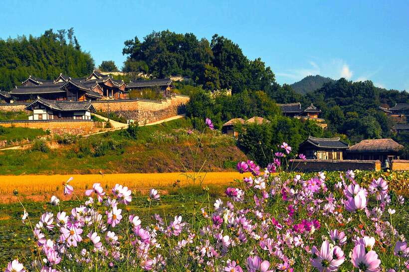 From Busan: Gyeongju UNESCO World Heritage Guided Day Tour - Gyeongju National Museum on Package C: artifacts that connect the dots