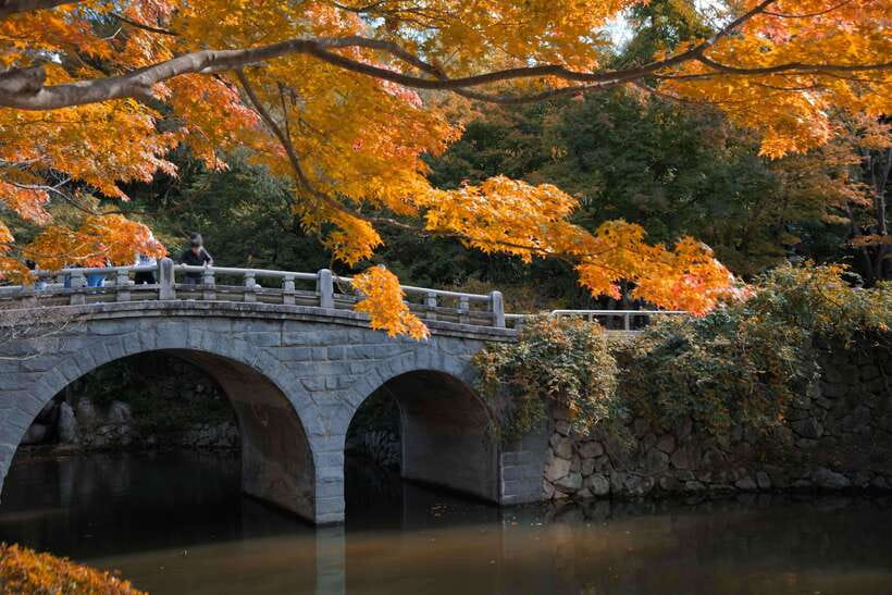 From Busan: Gyeongju UNESCO World Heritage Guided Day Tour - Daereungwon Royal Tombs: seeing Silla power without the hype
