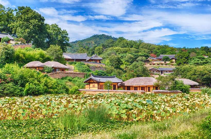 From Busan: Gyeongju UNESCO World Heritage Guided Day Tour - Woljeonggyo Bridge at night: your evening reward
