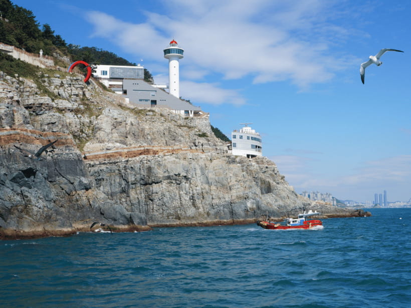 From Busan Port: Sightseeing Tour for Cruise Passengers - What the Day Feels Like: Tight, Helpful, and Mostly Guided
