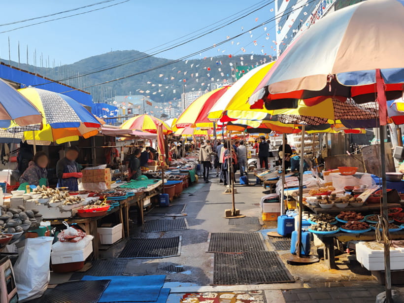 From Busan Port: Sightseeing Tour for Cruise Passengers - Yonggungsa Temple: Coastal Views Plus Steps to Plan For