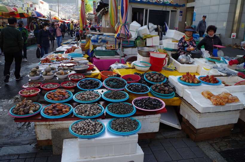 From Seoul: 5-Day Tour of Korea with UNESCO Sites - Meeting at Gwanghwamun: where your trip starts and how you stay on time
