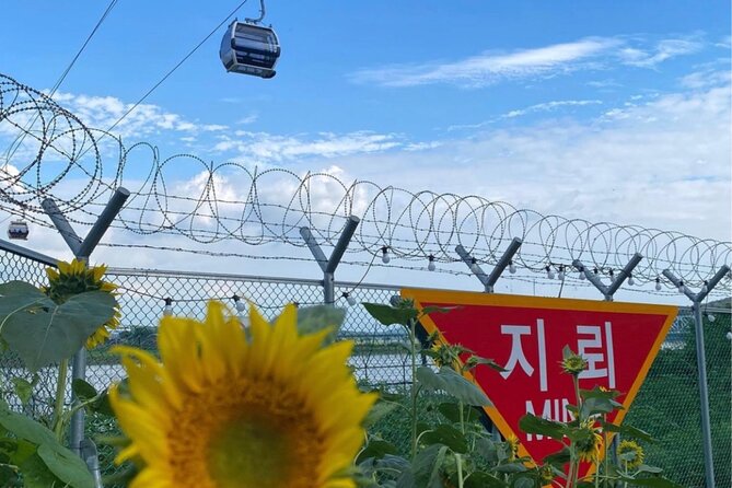 From Seoul: Cost-Benefit DMZ Shuttle Bus tour - Practical Tips So Your Day Goes Smoothly