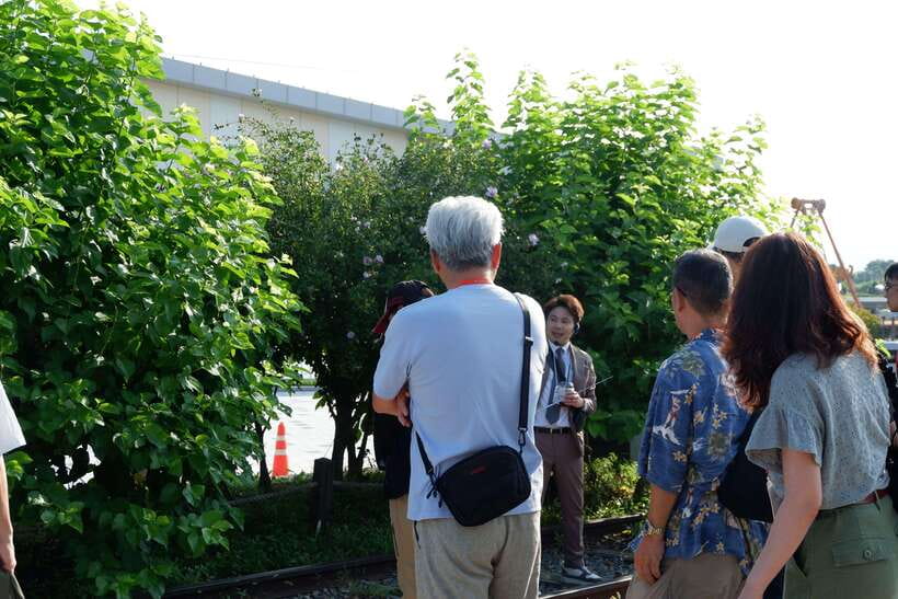 From Seoul: DMZ Tour with Japanese-Speaking Guide - Should you book this DMZ tour from Seoul?