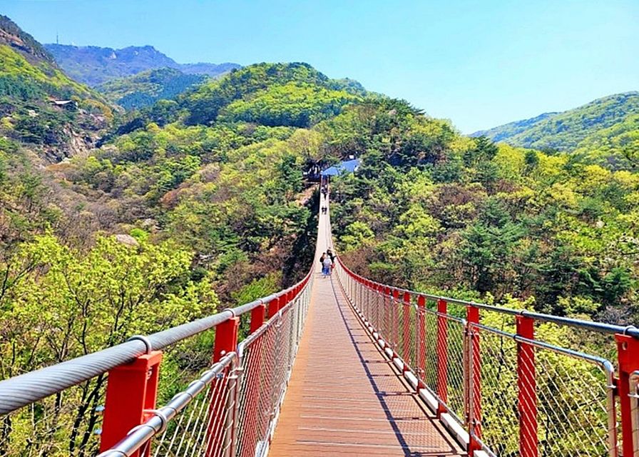From Seoul: DMZ Tour with Optional Heroes Suspension Bridge - Unification Village and Dorasan area: the look to the future, with real limits