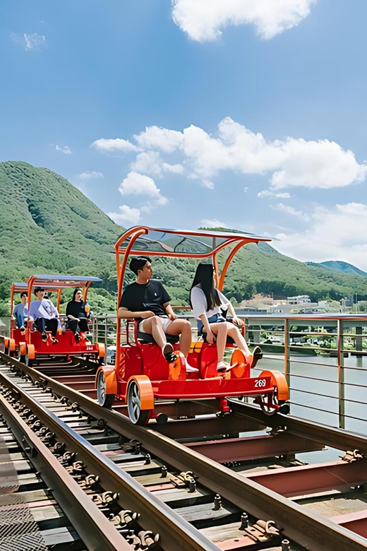 From Seoul: Full Day Trip to Alpaca Farm with Rail Bike - Who this tour suits best, and who should skip it
