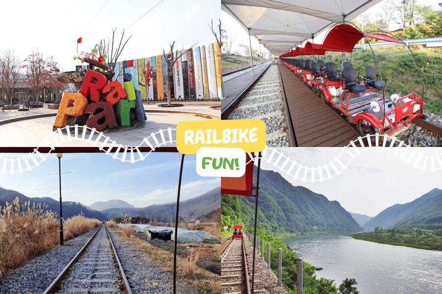 From Seoul: Full Day Trip to Alpaca Farm with Rail Bike - A countryside day from Seoul that mixes cuteness and speed