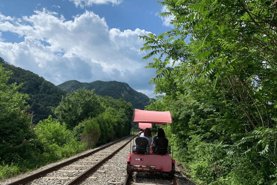From Seoul: Full Day Trip to Alpaca Farm with Rail Bike - Gangchon Rail Park rail bike: the old-track scenic win