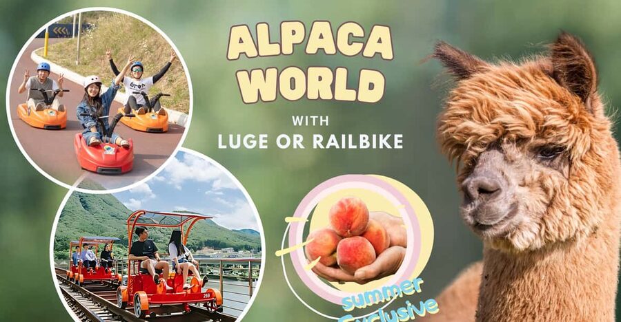 From Seoul: Full Day Trip to Alpaca Farm with Rail Bike - Alpaca World: feeding alpacas plus a whole animal lineup