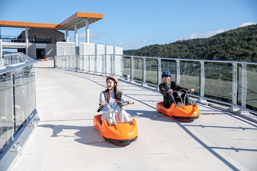 From Seoul: Full Day Trip to Alpaca Farm with Rail Bike - Lunch and breaks: what to plan for during the reset