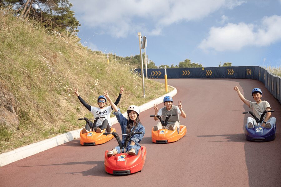 From Seoul: Full Day Trip to Alpaca Farm with Rail Bike - Practical tips: shoes, expectations, and how to keep the day smooth