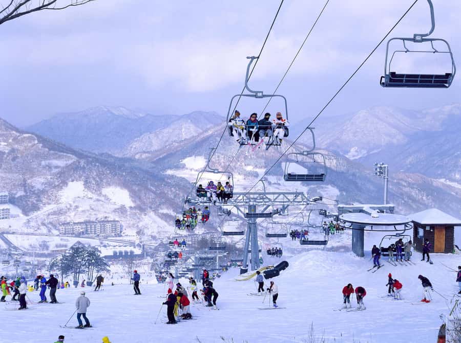 From Seoul: Korea Ski Tour - Jisan Forest Resort - Key things that make this Seoul ski tour work