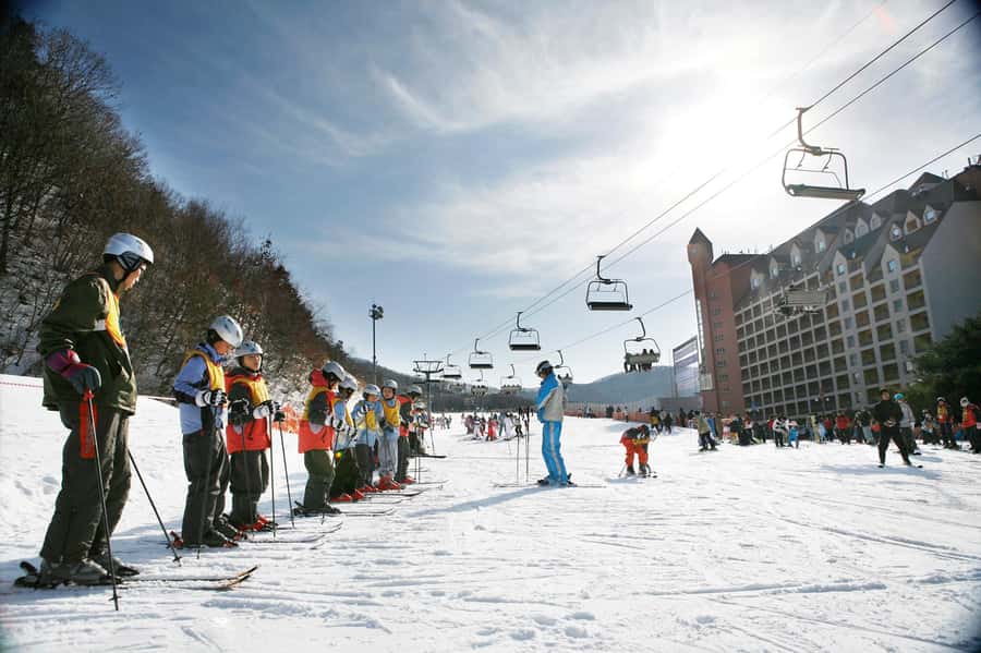 From Seoul: Korea Ski Tour - Jisan Forest Resort - Why Jisan Forest Resort feels like a winter escape from Seoul