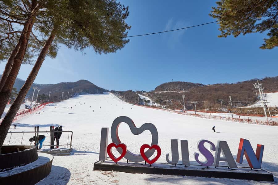 From Seoul: Korea Ski Tour - Jisan Forest Resort - Who this tour is a good fit for (and who should skip it)