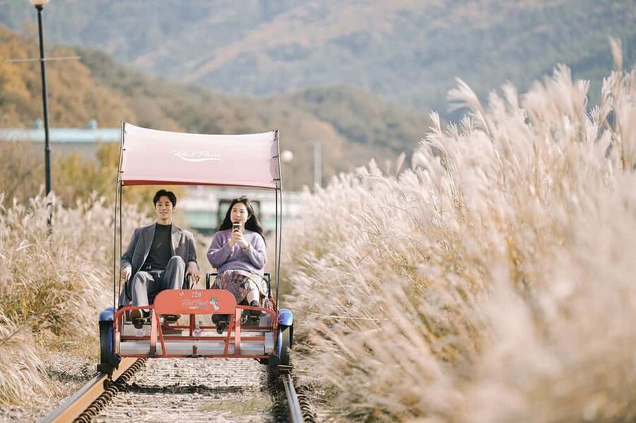 From Seoul: Nami Island, Korean Garden & Rail Bike Day Trip - A long day from Seoul, with a simple plan that actually works