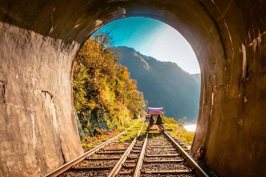 From Seoul: Nami Island, Korean Garden & Rail Bike Day Trip - Nami Island, where the scenery is the itinerary