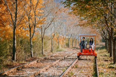 Nami Island, Korean Garden & Rail Bike Day Trip