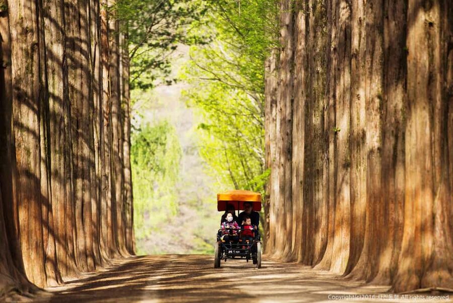 From Seoul: Nami Island, Korean Garden & Rail Bike Day Trip - Gangchon Rail Bike option, the part you’ll talk about later