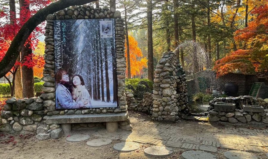 From Seoul: Nami Island, Korean Garden & Rail Bike Day Trip - Who this tour is perfect for, and who should adjust expectations