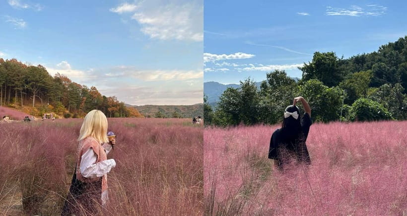 From Seoul: Pocheon, Sanjung Lake and Bidulginang Fall Trip - Pocheon Stops: Getting a Second Slice of Nature Without Overcomplicating the Day