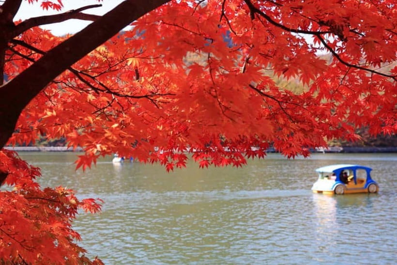 From Seoul: Pocheon, Sanjung Lake and Bidulginang Fall Trip - Price and Value: What $55 Gets You, and What You Still Need to Plan For
