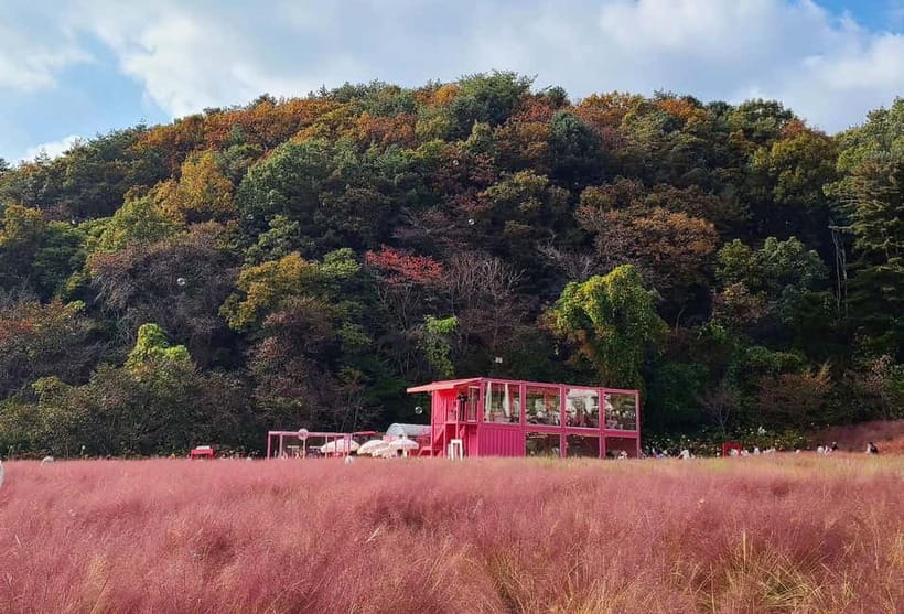 From Seoul: Pocheon, Sanjung Lake and Bidulginang Fall Trip - Seoul Pickup and Transfers That Keep the Day from Getting Messy