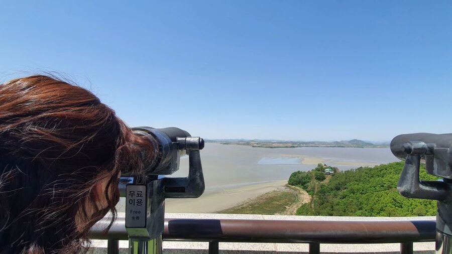 From Seoul: Private DMZ and Odusan Observatory Full-Day Tour - Key Things to Know Before You Go